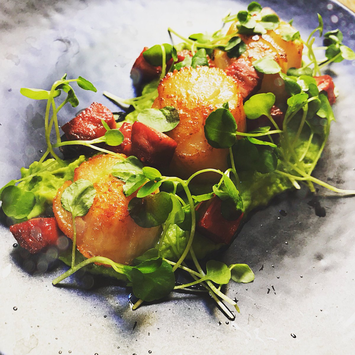 StonemasonsArms's tweet photo. New on Chef’s Signatures - Seared scallops, pea pure & chorizo. #chefsignature #fullerskitchen https://t.co/jVxZMH8JdA
