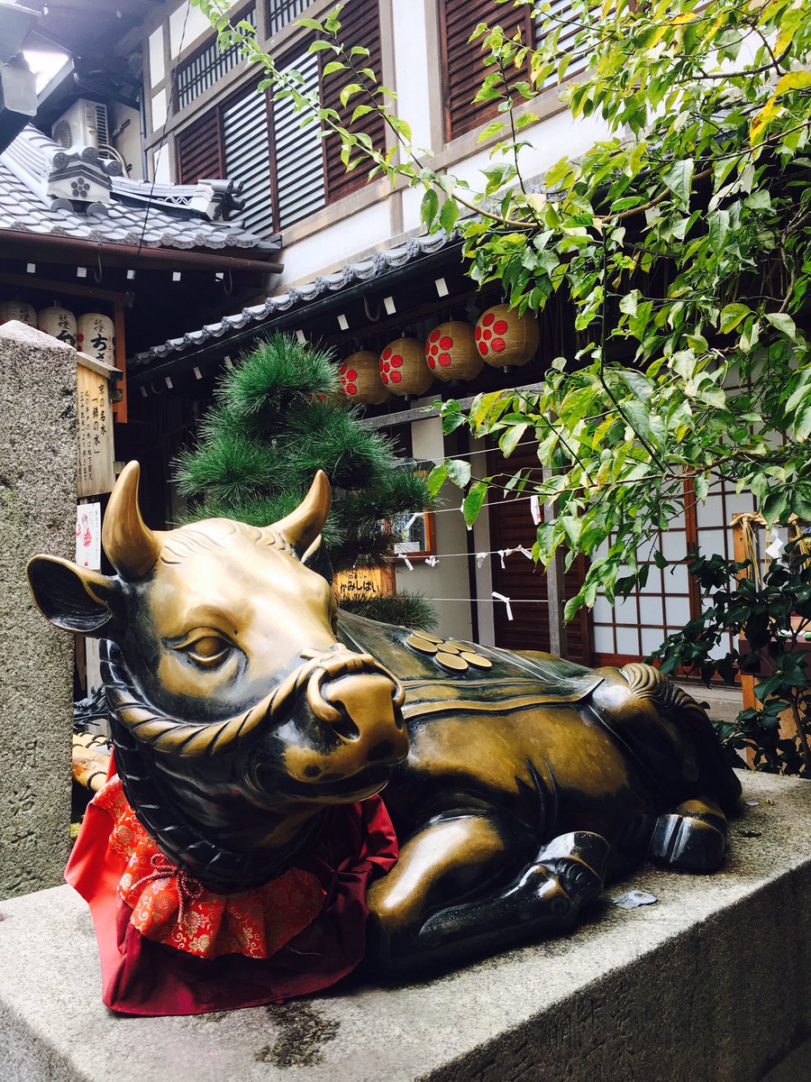 児玉梨奈 Ssw北海道観光大使 Rina Kodama Twitterren 受験生に人気 神使 撫で牛 さんがいる錦天満宮 学問の神 菅原道真公が祀られている 鳥居も特徴的 撫でてきた 錦天満宮 Tenmangu 撫で牛 Cow 神牛 牛 鳥居 受験生 菅原道真 学問の神様 京都