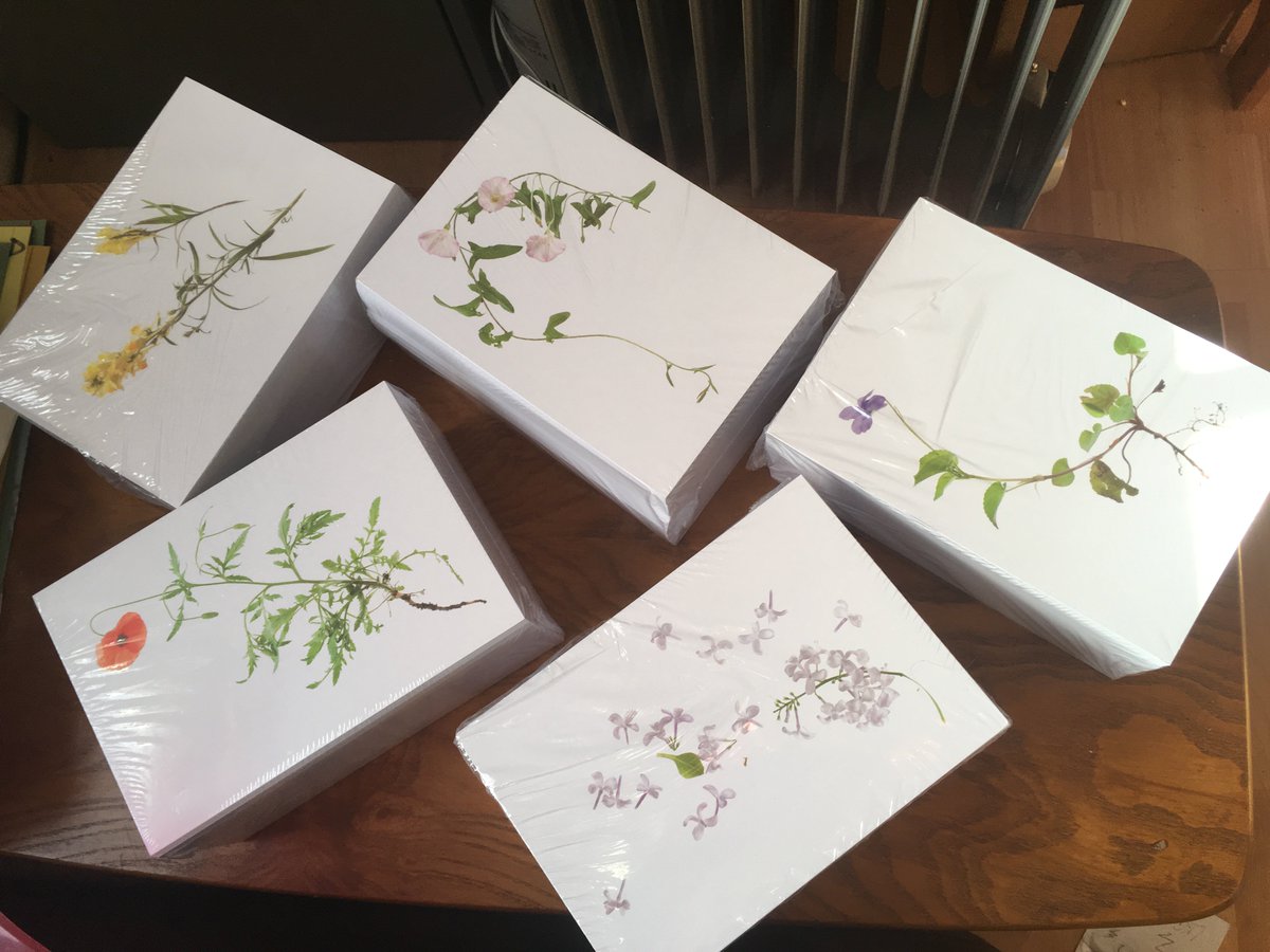 Look what just arrived - sooooo many postcards! Half for Kickstarter backers, half for <a href="/SPILL_Festival/">SPILL Festival</a> visitors. Anyone know where I can get some fulfillment elves/trained sorting monkeys?