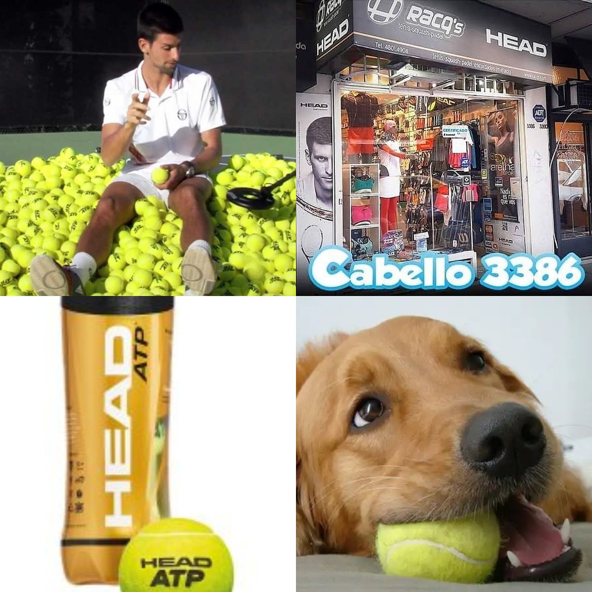 RacqsDeportes's tweet photo. Promo 2 tubos Head Atp por $599  hasta agotar stock de 72 unidades Racqs Deportes  Cabello 3386 Palermo https://t.co/qClK8wEHqZ