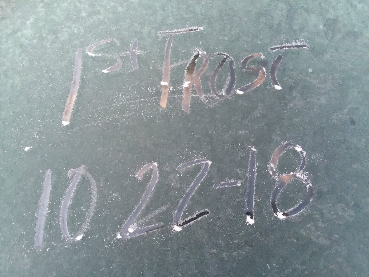 cibadez's tweet image. 1st Frost Of 2018 @simpsonwhnt @BenSmith_WHNT @spann