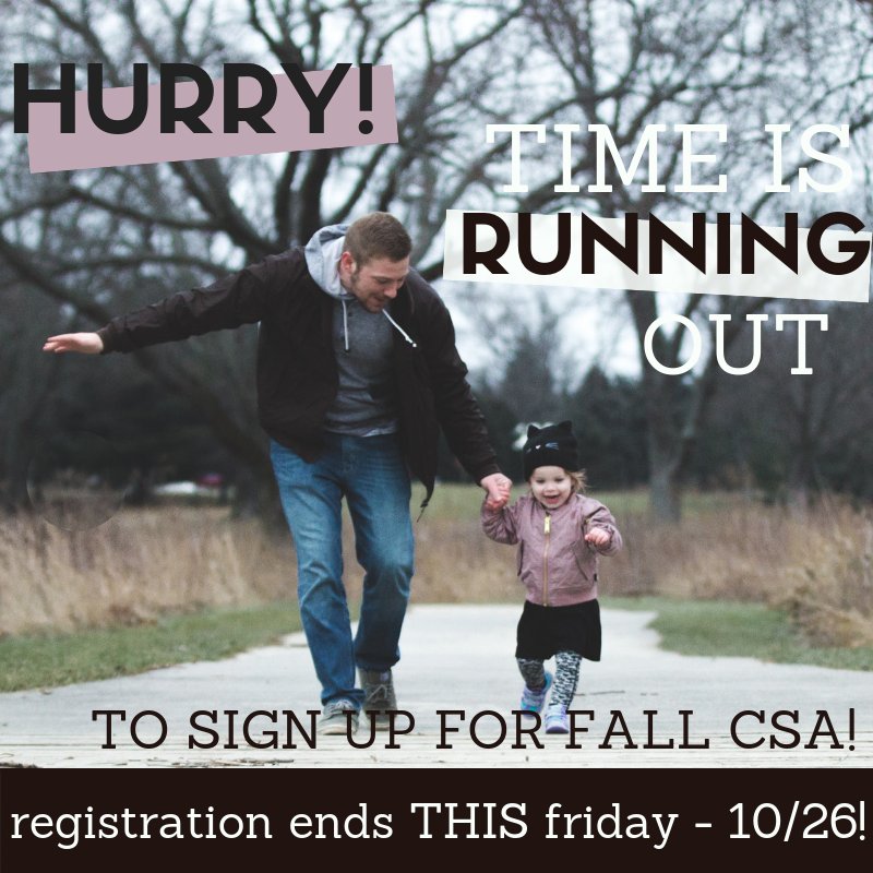 Quick! Click the link in our bio to register for weekly deliciousness.  
.
. 
. 
#LFFCSA #FallCSA #EatSeasonal #Love #Food #Health #CommunitySupportedAgriculture