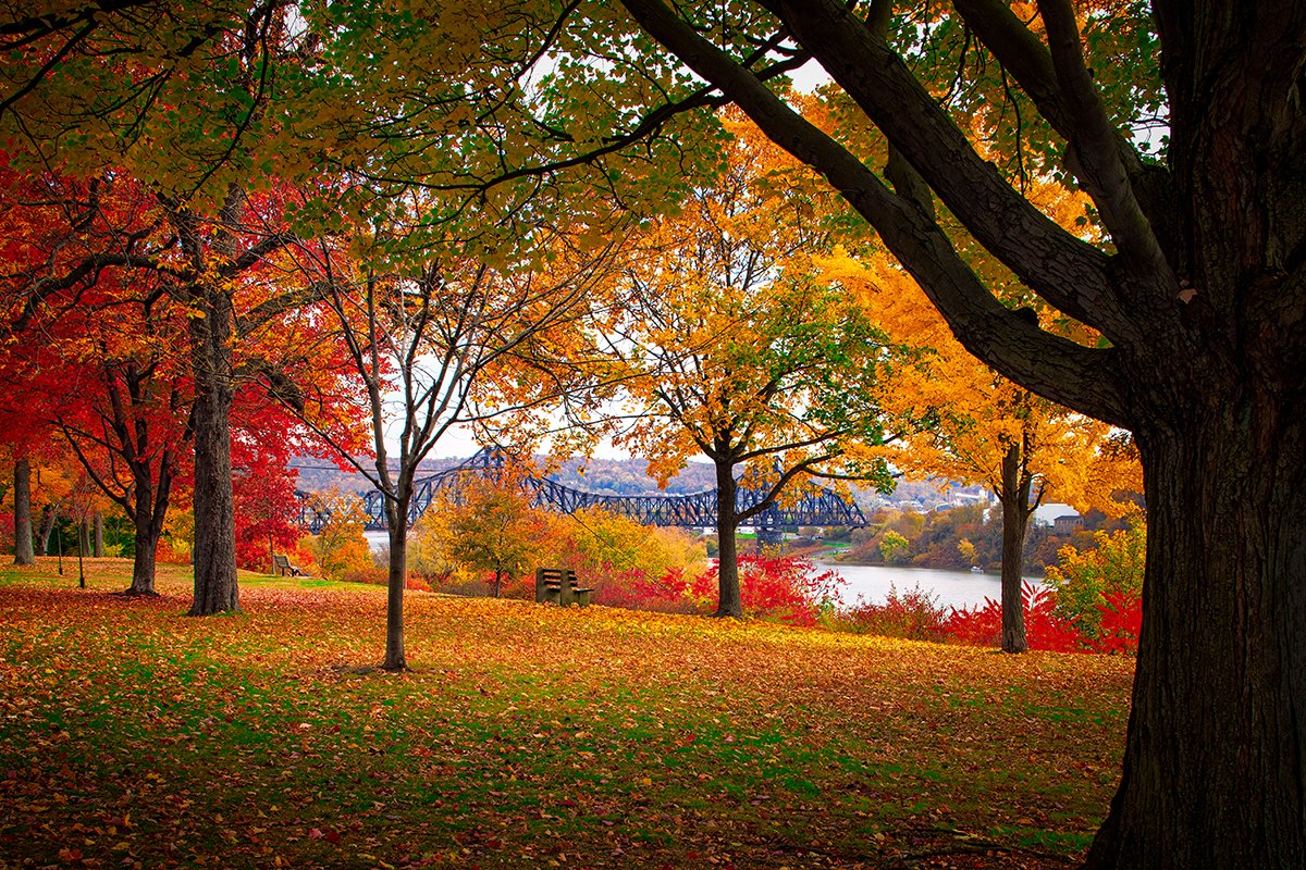 epfagallery's tweet photo. 6 months from #EarthDay is #CleanUpTheEarthDay ... Conservation and protection is so important to continue enjoying the beauty that is Earth. #HappyFallDay, don't forget to #recycle that #PumpkinSpice :) https://t.co/CarBIeTTQb