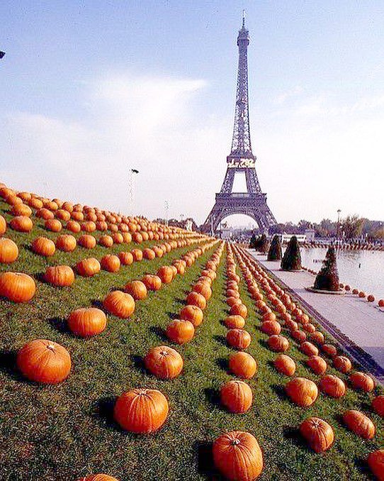 MobyMaps's tweet image. Back when we spotted a Parisian pumpkin patch on our travels #Paris #travellers #travelmoments ift.tt/2D0jIYD