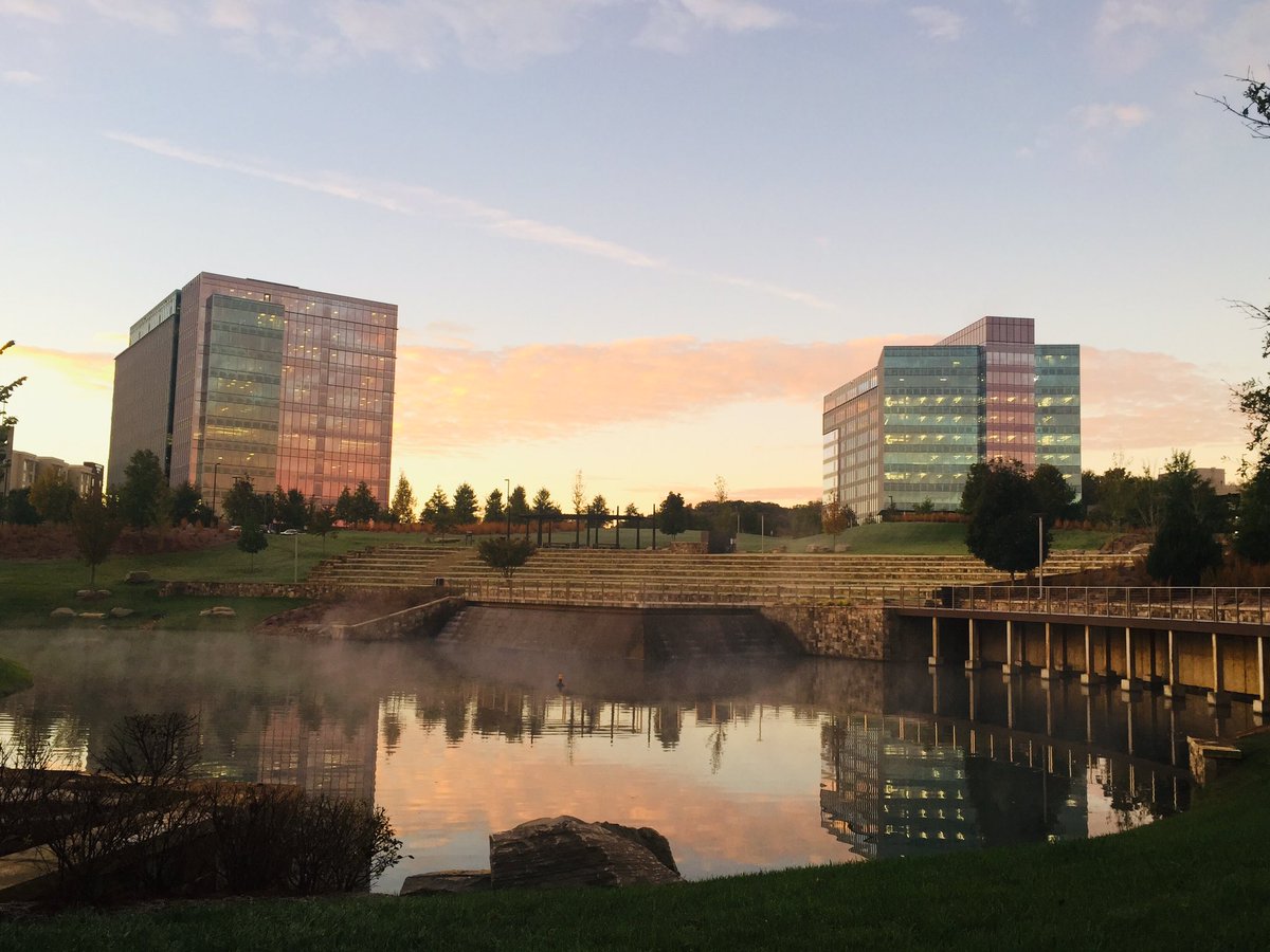 Hall Emery tweet media