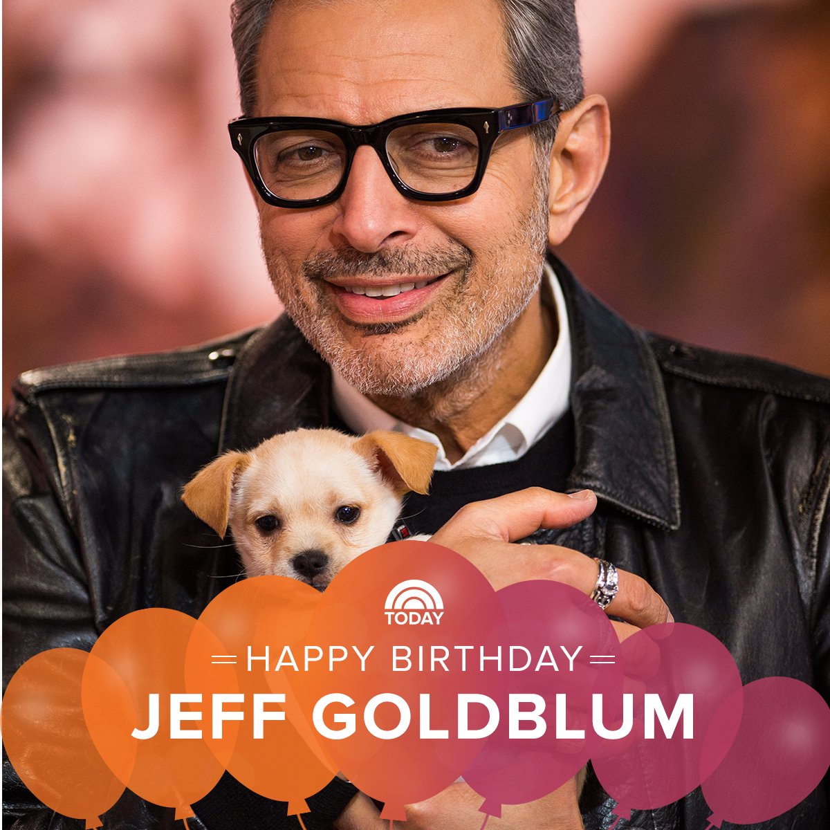 Happy birthday, Jeff Goldblum! 
