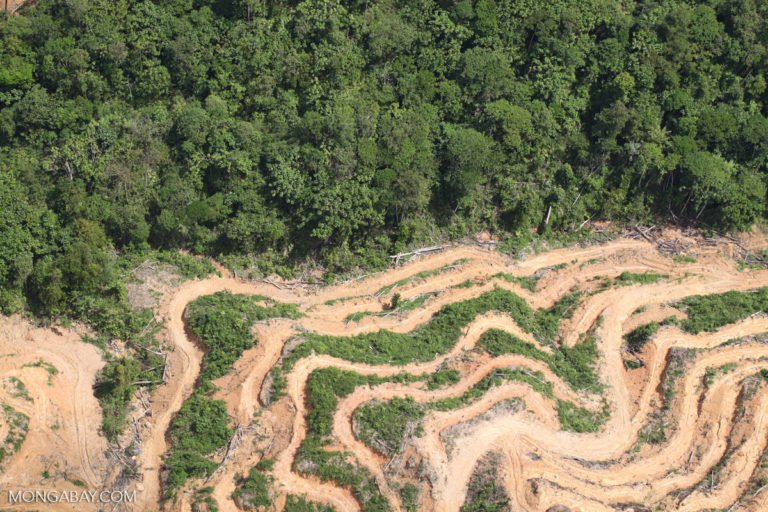 GlobalCanopy's tweet photo. #NowReading: Tropical deforestation now emits more CO2 than the EU https://t.co/XSDQCnyxfW @mongabay #ClimateChange #deforestation #forgottensolution https://t.co/qDZudtvfwL