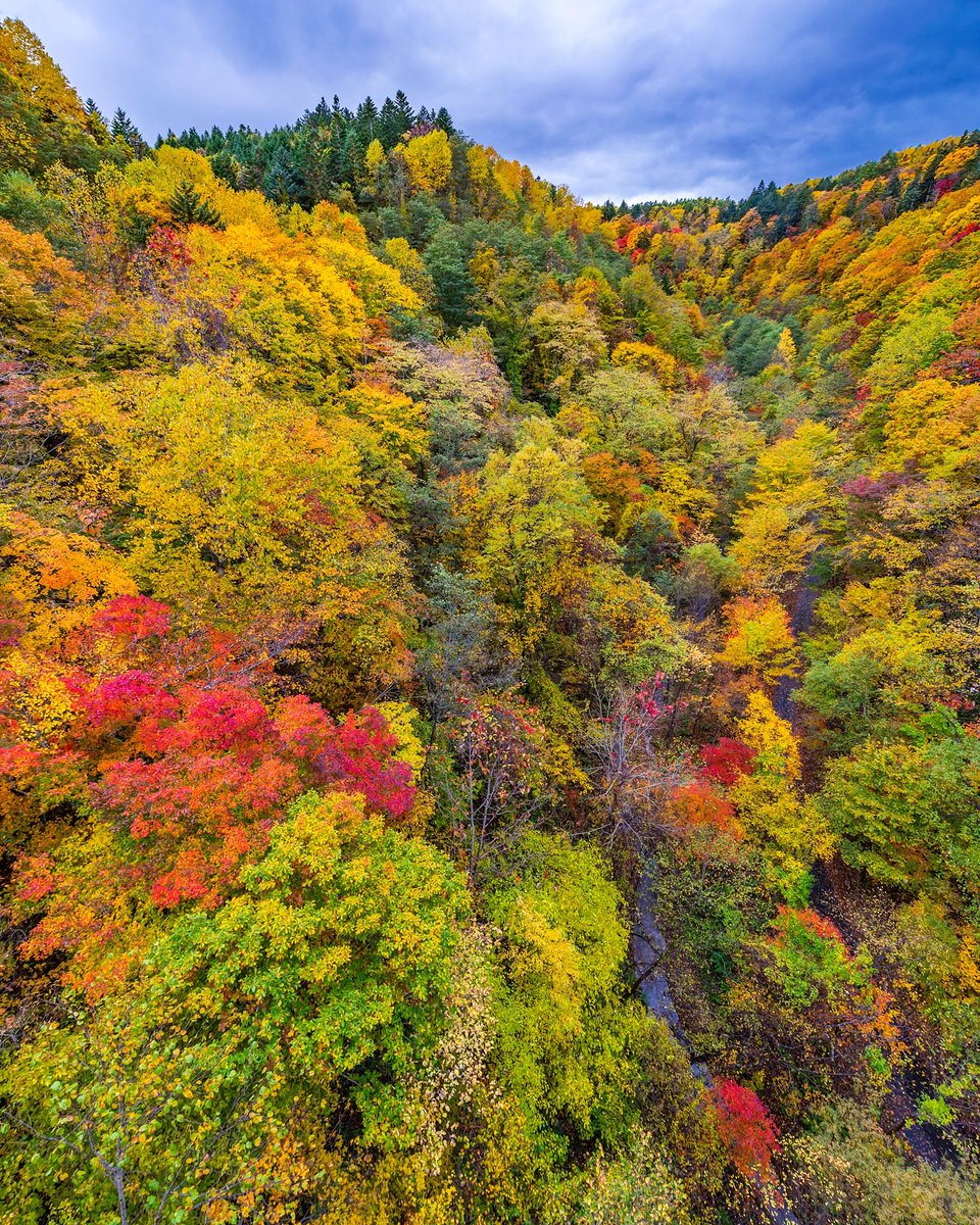 Tsumizo على تويتر 恵庭渓谷 紅葉 北海道 東京カメラ部 Tokyocameraclub Tsumizo على تويتر 恵庭渓谷 紅葉 北海道 東京カメラ部 Tokyocameraclub