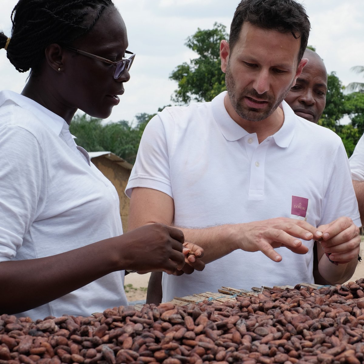 Il cacao selezionato in Costa D’Avorio ha una storia incredibile: coltivato in piantagioni BIO tra i villaggi di Toumodi, Oulaidon, Taabo e Lilebe è raccolto dalla Cooperativa Scay Scoop, che ne accerta la conformità rispetto alle norme previste dalla certificazione biologica.