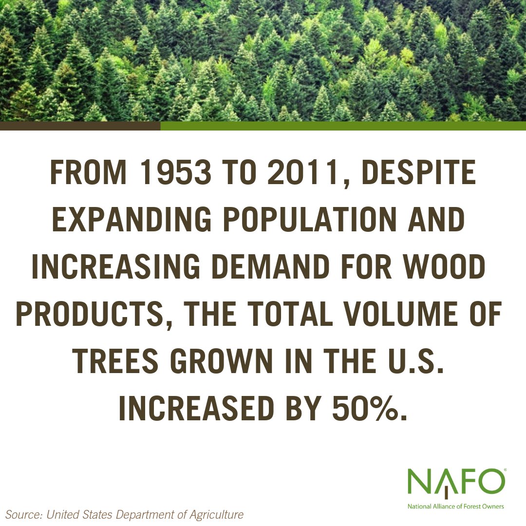 NAFO_Forests's tweet photo. Strong markets for sustainably sourced wood products help protect forested lands from economic pressure to convert to other land uses. #WorkingForests #ForestProductsWeek #forestproud https://t.co/YIlqnavMTZ