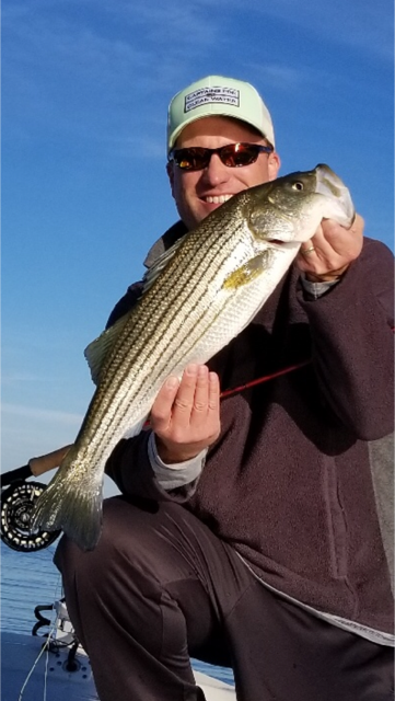 BrianCPR's tweet image. Fall striper run producing some good fish on the #fly in the Chesapeake Bay. (@Capt4CleanWater hat, check them out and help)  #keywestboats #raymarine #yamaha #powerpole #flatsclass