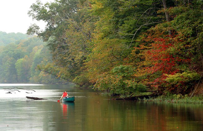 KentuckyTourism's tweet photo. Paddle into #KYColorFall at Greenbo Lake State Resort Park! ๐๐๐ฃ With miles of serene stretches of water and fall foliage to enjoy, it's the perfect #TravelKY destination: https://t.co/Zg2cep2tSo #KyStateParks #BetterInTheBluegrass https://t.co/XOUF2htn6T
