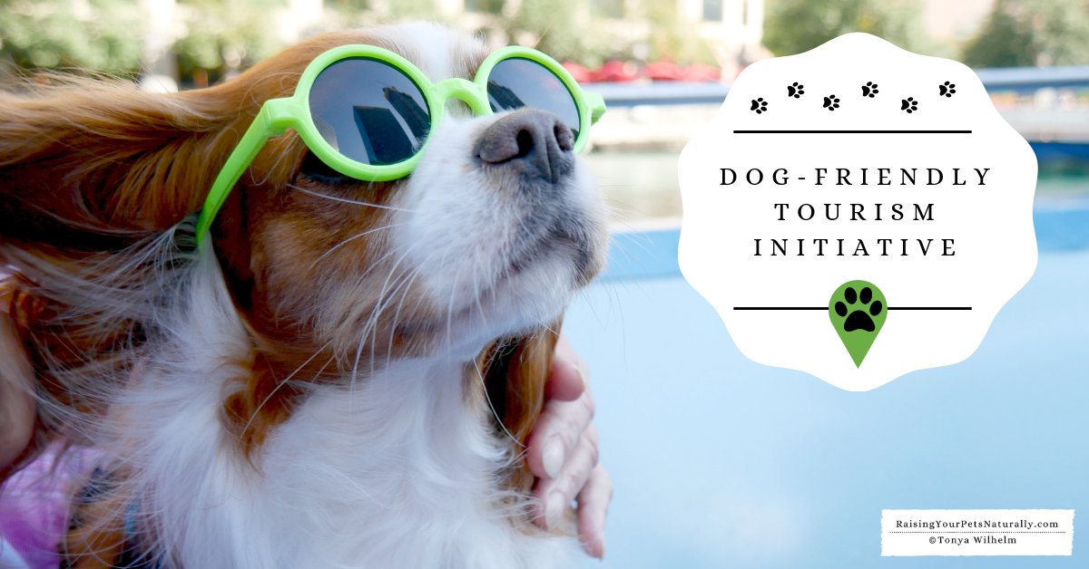 #DogFriendly #Tourism Initiative! #DogFriendlyTourism isn't just for visitors; it benefits local dog families and business alike.--> buff.ly/2q31EEm #MWTravel #westcoast #TravelSouth #NewEnglandTravel #Tourism #TravelDestinations #TourismIndustry  @dogtrainer4ever