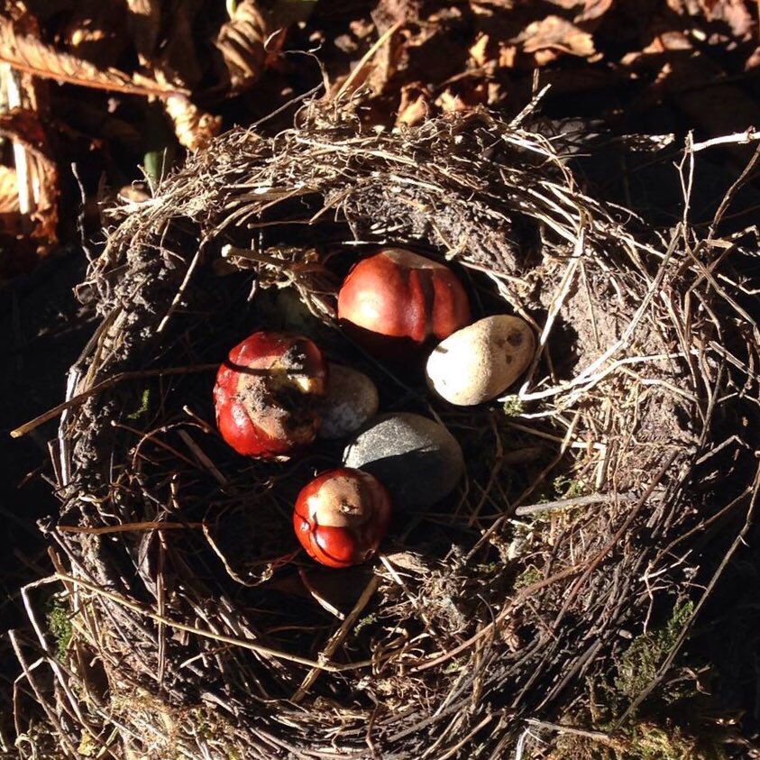 Gatton Park tweet media