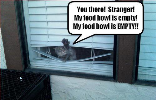 Your Weekly Laugh - Oct 22 - *RLJP* - Show Nov 6 - rljproductions.com - mailchi.mp/396adcc8a6dd/y…