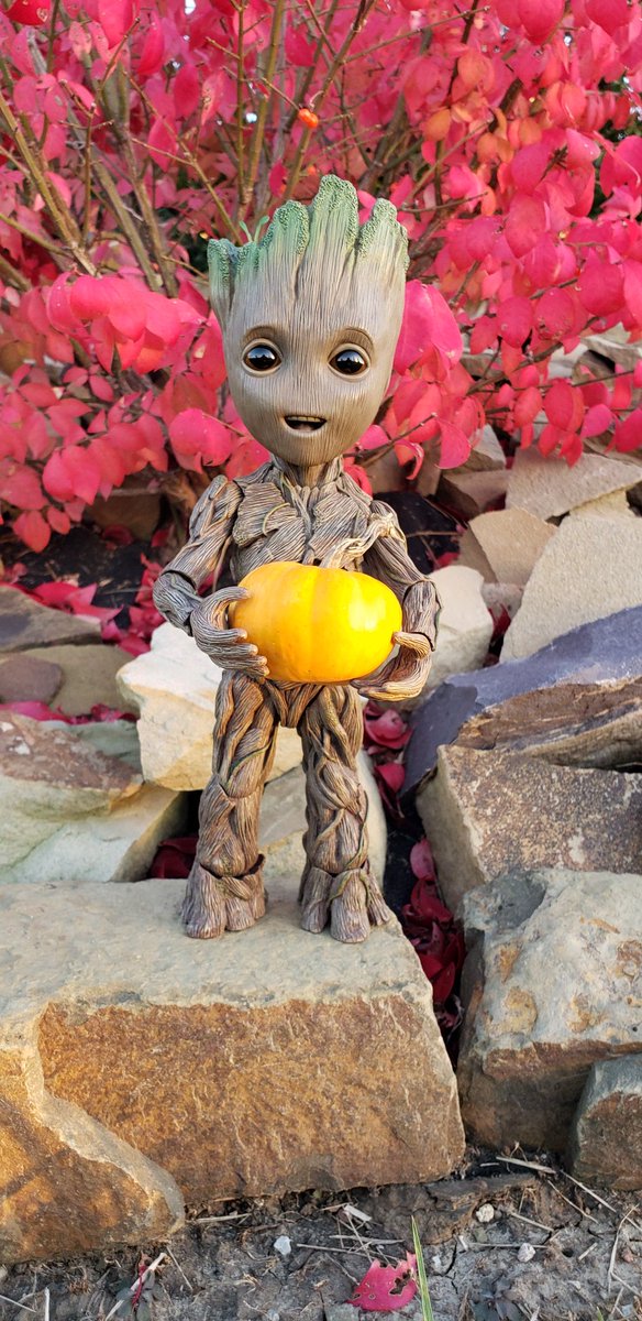 MyBabyGroot's tweet photo. I am Groot!
#TinyPumpkin
#BurningBush
#FeelsLikeFall
#groot #babygroot #iamgroot #wearegroot #twig #guardians #guardiansofthegalaxy #guardiansofthegalaxyvol2 #avengersinfinitywar #gotg #gotg2 #marvel #disney #stickpic #instagroot #pumpkin #halloween #fall https://t.co/3IkasNVZNx