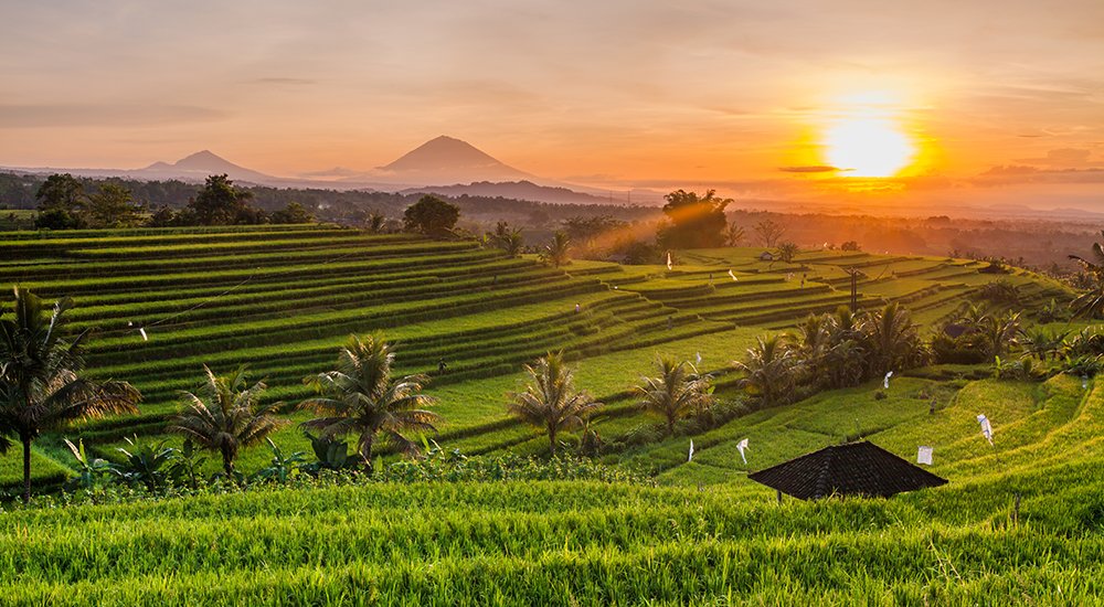 VakantieDetect's tweet photo. TROPISCHE SFEREN op #BALI! - 10 dagen incl. #KLM ticket &amp; #luxeresort (7,4) voor een SUPER PRIJS!
https://t.co/w3d8YfX23D
#vakantie #cheapflights https://t.co/4Bn7Ro1BpI