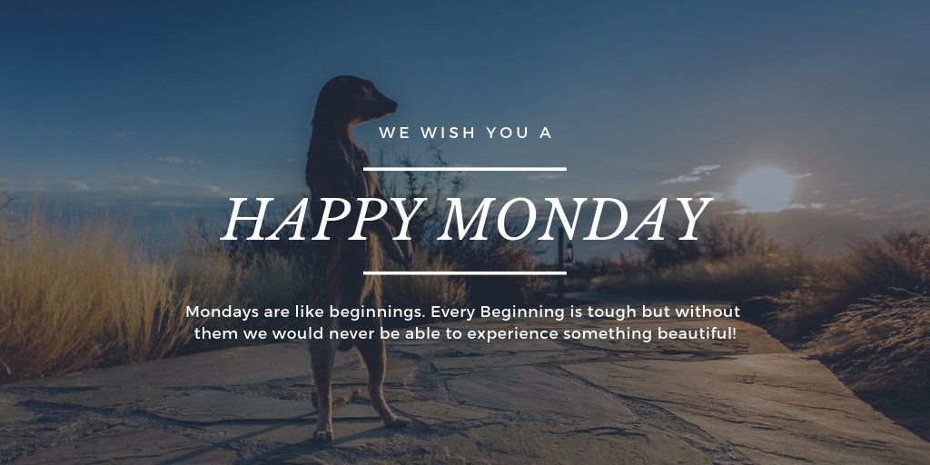TravelVeronika's tweet photo. HAPPY MONDAY TWEETERS!
#Monday #Beggining #Days #beautiful https://t.co/5j2Ww9VrUb
