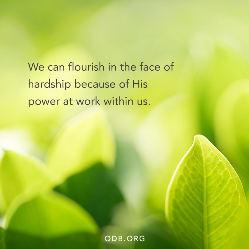 miriamyentraccm's tweet photo. We have this treasure in jars of clay to show that this all-surpassing power is from God and not from us.
2 Corinthians 4:7
#Pray4Strength #PrayInJesusName #Repent #PraiseGod https://t.co/yRdTEmhkSv