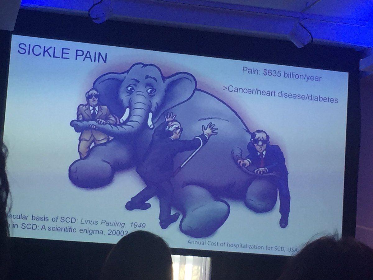 xayneh's tweet photo. #ascat18 Dr. Gupta: #SickleCell pain, the elephant in the room https://t.co/6lRVGOtxRo