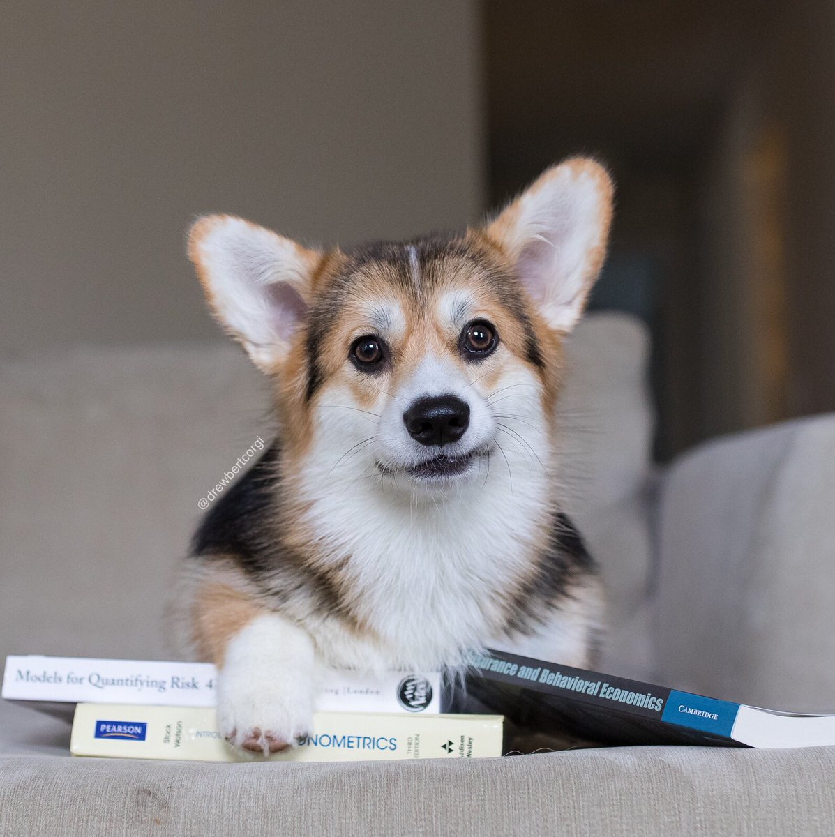 drewbertcorgi's tweet photo. If you have time to wait in line to buy a Mega Millions lotto ticket, you have time to wait in line to vote on November 6.
#ItsMonaTime #ToRemind https://t.co/SiV68KFbcP