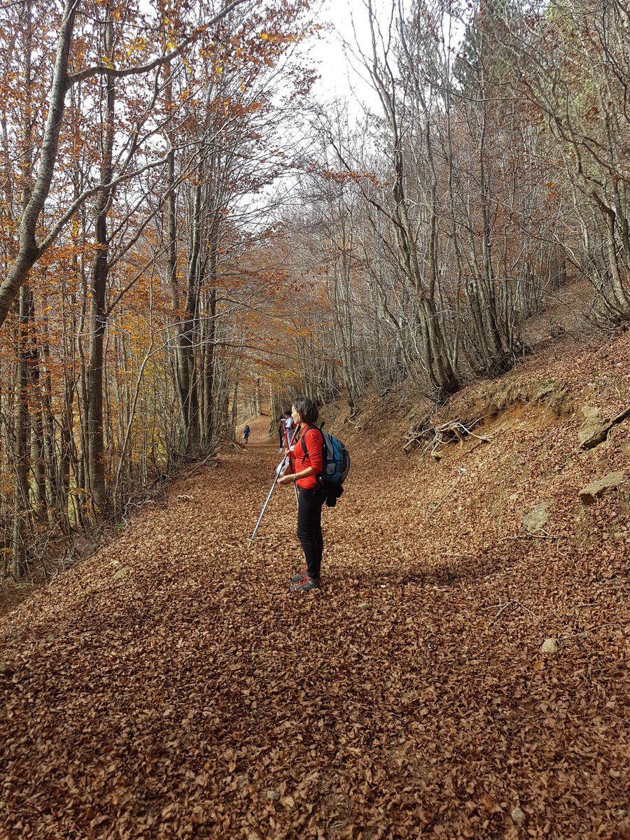 Ultimi giorni per ammirare il #foliage nel #parconazionaledellasila. Su camminasila.com nella sezione eventi tutte le informazioni sulle prossime escursioni..