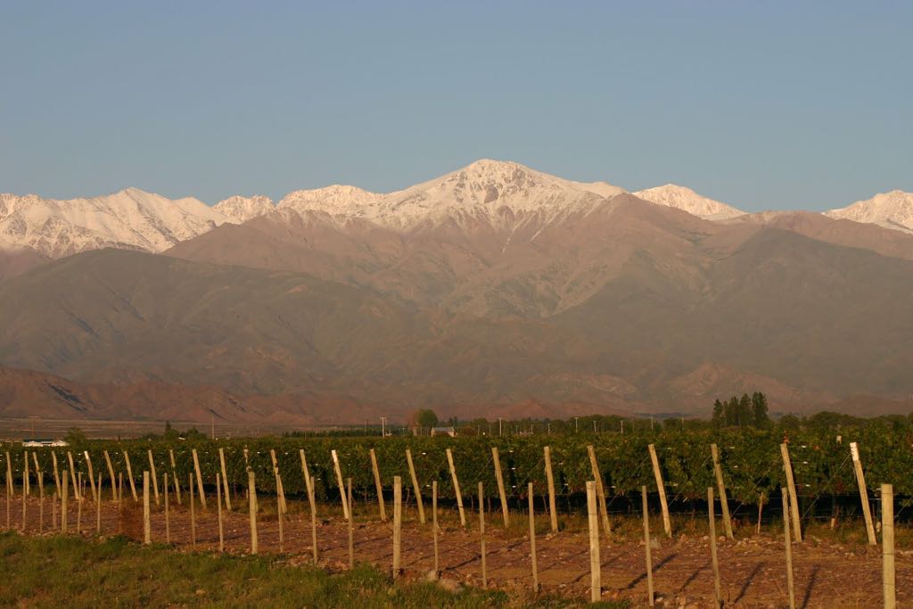 ARGysusvinos's tweet photo. Queres conocer mas sobre #Chacayes ?? Acá te dejo mi nota sobre #RegionesDelVino para @ArgWineBloggers
https://t.co/u5mwYB36eB https://t.co/6hQ9fsw7Jp