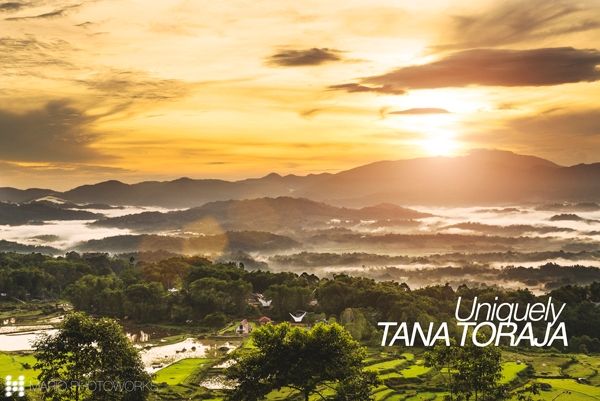 Jalan2com's tweet image. Yuk mengenal Upacara Rambu Solo, salah satu upacara unik suku Toraja yang terkenal sampai ke luar negeri: buff.ly/2CAmeUr