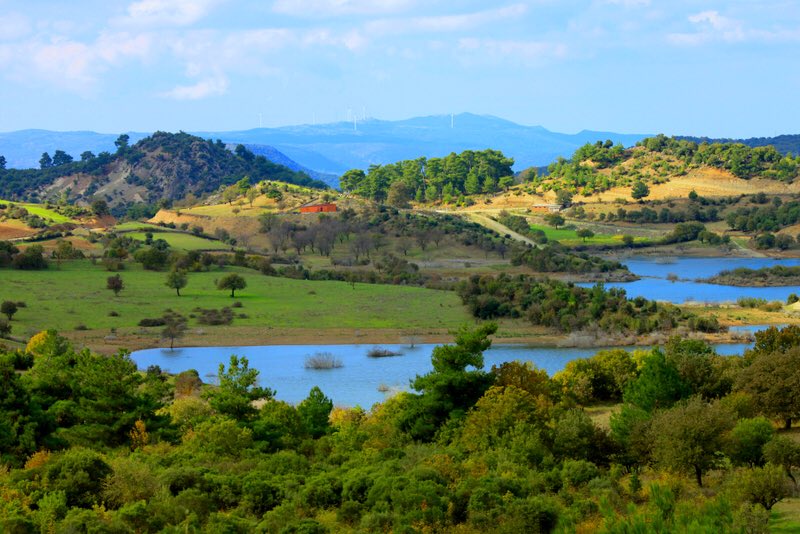 Umut verici bir haber🙂🌿
Kazdağı'nda planlanan #Çırpılar kömürlü termik santralinin ÇED kararının iptali için açtığımız davada mahkeme  "yürütmeyi durdurma" kararı verdi. Projenin İptalini bekliyoruz. #kazdağıhepimizin #kömürüzer #Çanakkale