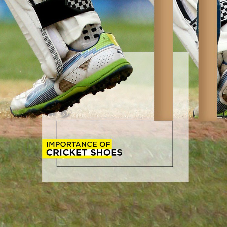 Our cricket experts explain the importance of good cricket shoes for a player.

Full article goo.gl/1LUzDm

#pitchvision #cricket #pitchvision #sportsarticle