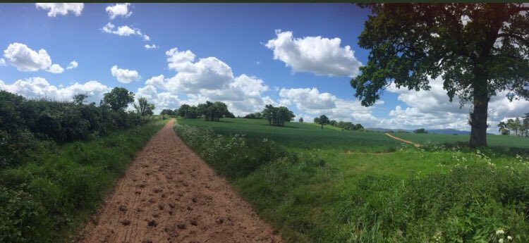 Uzivatel James Evans Na Twitteru Looking For Work Within The Racing Industry Stable Staff Work Riders And Yard Persons Required At Our Friendly Yard In Kinnersley On The Worcestershire Gloucestershire Border Worcestershire Gloucestershire