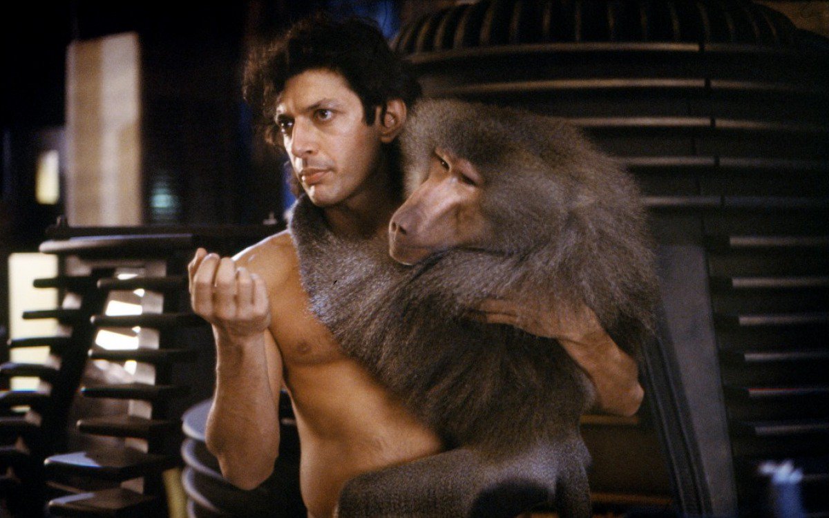 Happy birthday, Jeff Goldblum! 