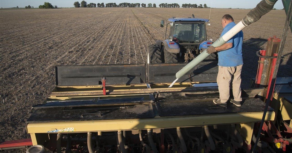 Hoy el Director del @IPNIcs, #FernandoGarcia nos comparte su opinión sobre #Fertilización en  #MaízTardío y #MaízTemprano. 
👉👌 clar.in/2yr1M5u