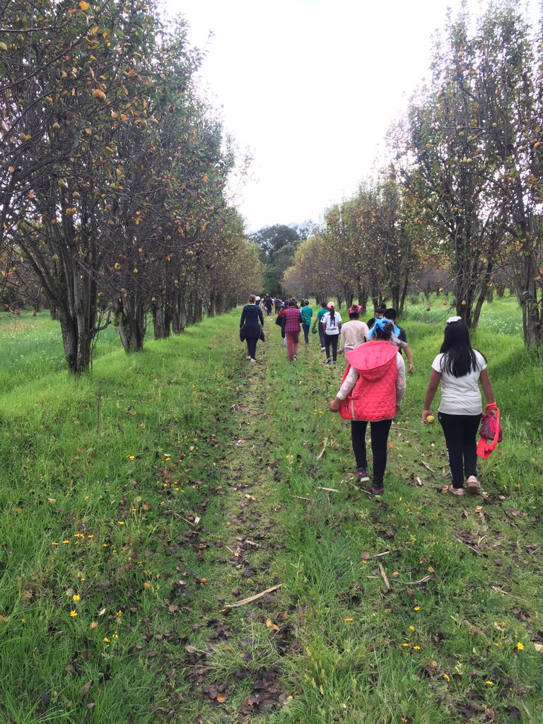 ToursAven's tweet photo. Si de campamentos de formación se trata #Aventours tiene la respuesta que estabas buscando; diversión, naturaleza, coaching educativo, espiritualidad , juegos, actividades con mensaje y en todo una huella imborrable ... una probadita de nuestro camp de fin de semana https://t.co/OxsNMusm7n