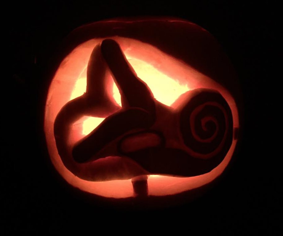ENT_AudsNews's tweet photo. Last year we organised an EARie #ENTAuds pumpkin carving challenge, here is @otolaryngolofox chilling carving to get you inspired to do it all over again this year. Send us your petrifying pumpkins and we'll give a prize for the winner. #ENTPumpkin, https://t.co/JaOQUwFgU4
