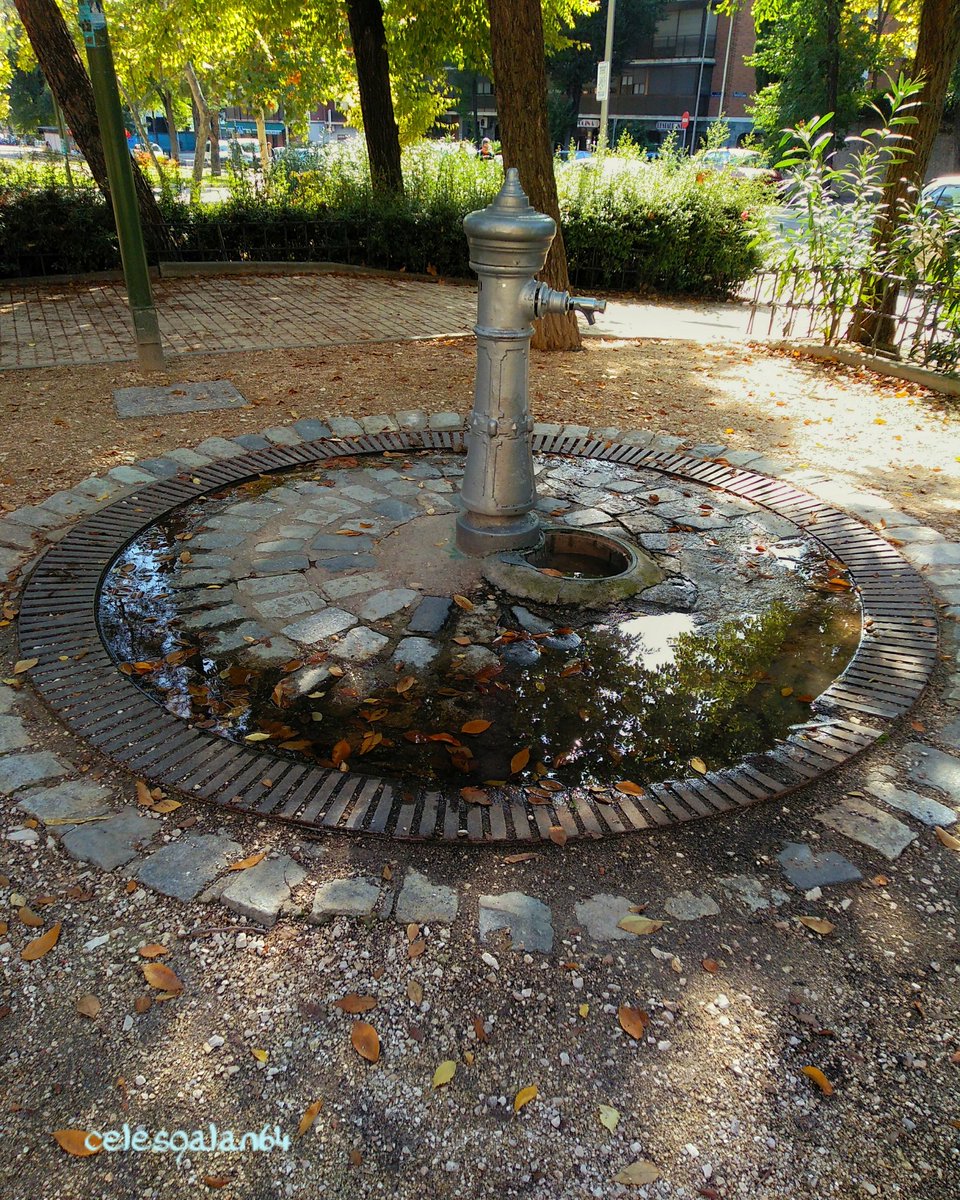 celesgalan64's tweet photo. #espléndida #tarde en #Madrid !!! 😎 
#calorcico #paseo #otoño #parque https://t.co/p3LsILwlYD