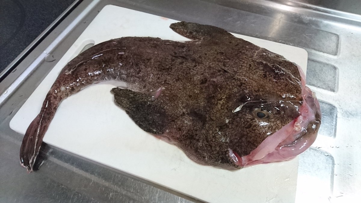 しみっちゃん リスナーから送られてきたアンコウは50cmくらい 口についてるのは線虫 ぶつ切りにするとまな板一杯になる しみっちゃん リスナーから送られてきたアンコウは50cmくらい 口についてるのは線虫 ぶつ切りにするとまな板一杯になる