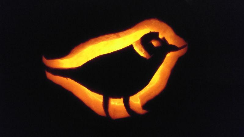 BirdsCanada's tweet photo. A #ploverpumpkin carved this weekend by our Communications Specialist, Ellen. You can carve one, too! Piping Plover stencils here: https://t.co/dLsqBrtw4d Fun and not very tricky to execute. @BSC_Education https://t.co/ymUbApDt0b