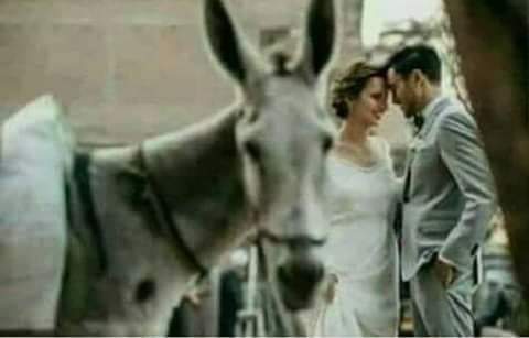 وكل ماتيجي لحظة حلوه ... لازم يجي حمار يخربها 🙄😂