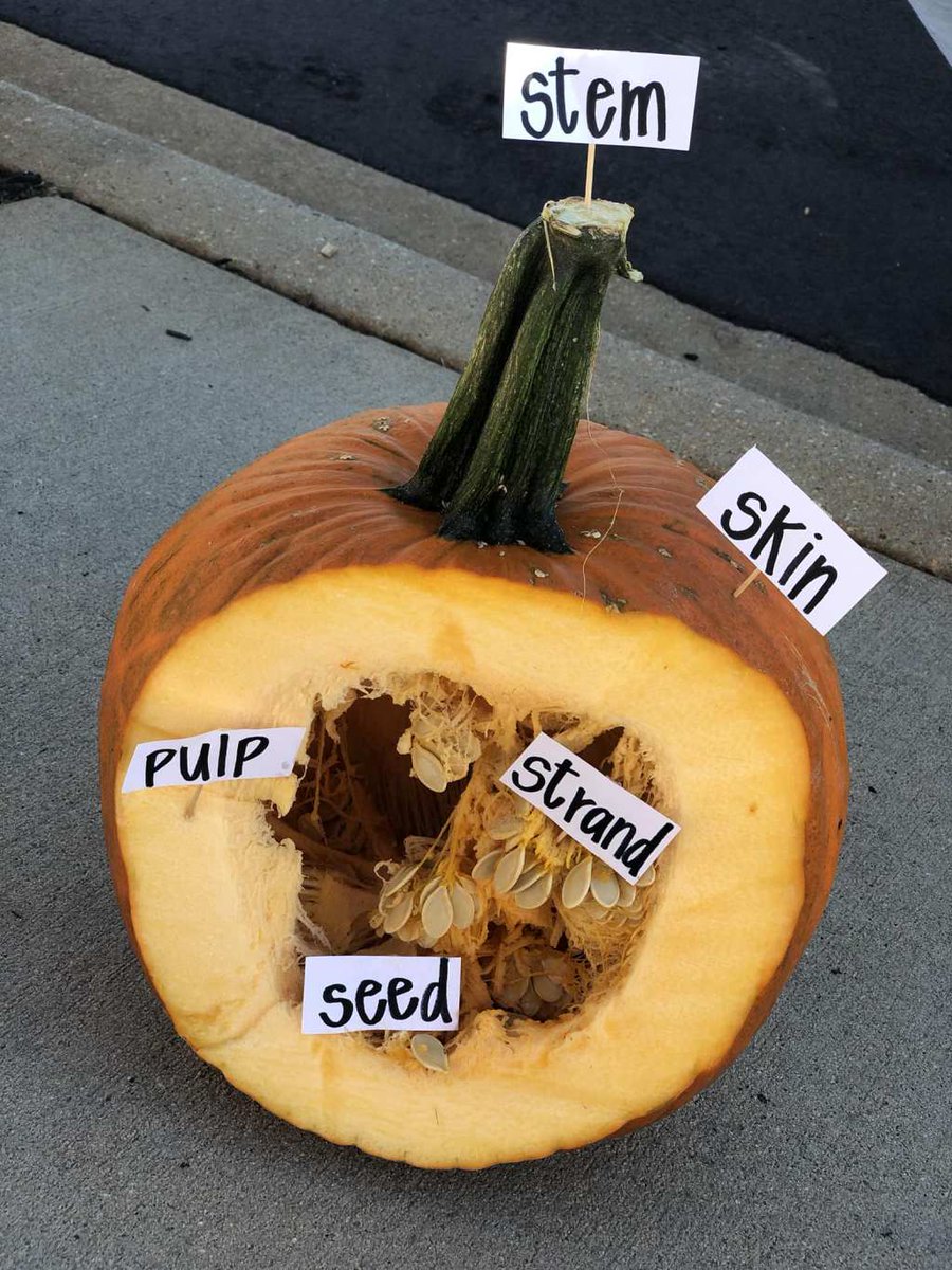 HugheyFarms's tweet image. Fall is here ! hugheyfarms.com/2018/10/22/fal…