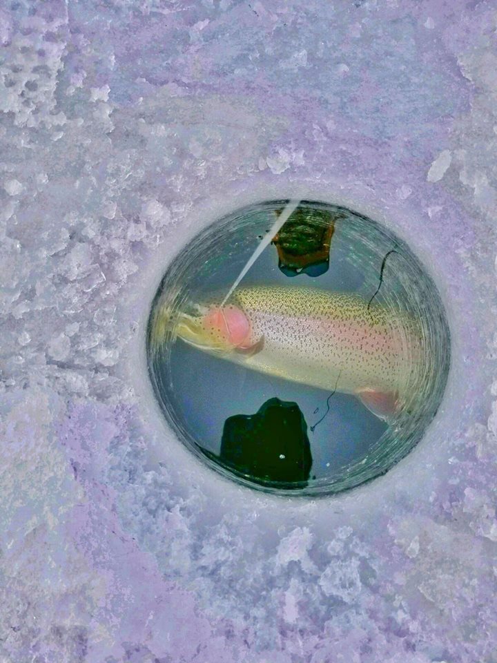 Fire in the hole! Who's ready? 

#Frabill pro - Shane Dubois