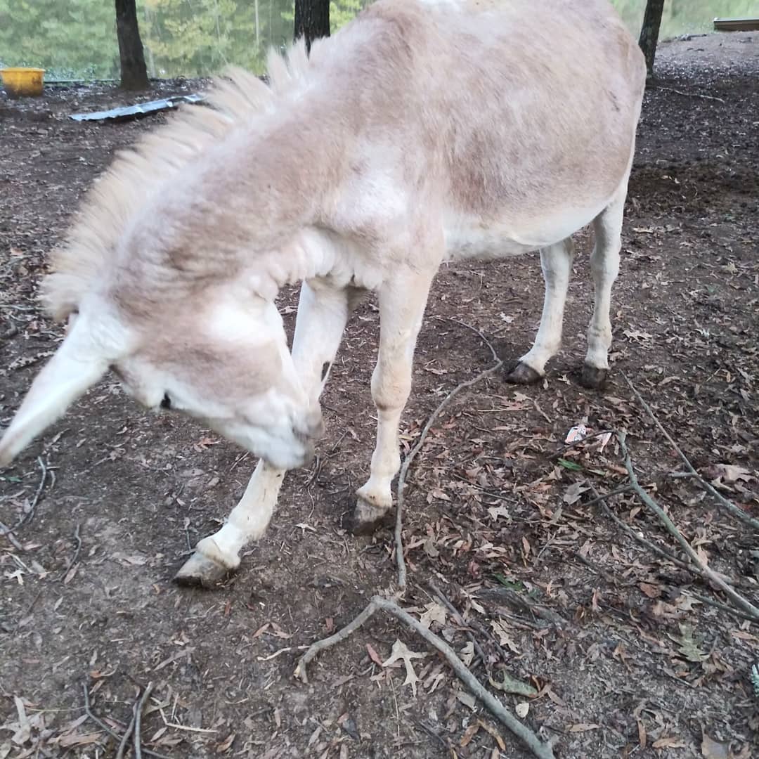 ruby_christy's tweet image. 