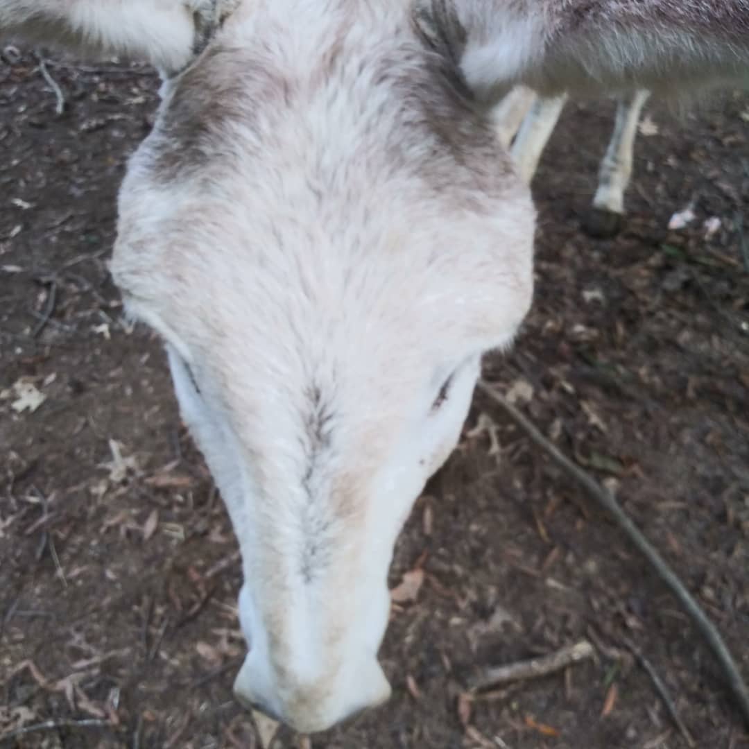 ruby_christy's tweet image. 