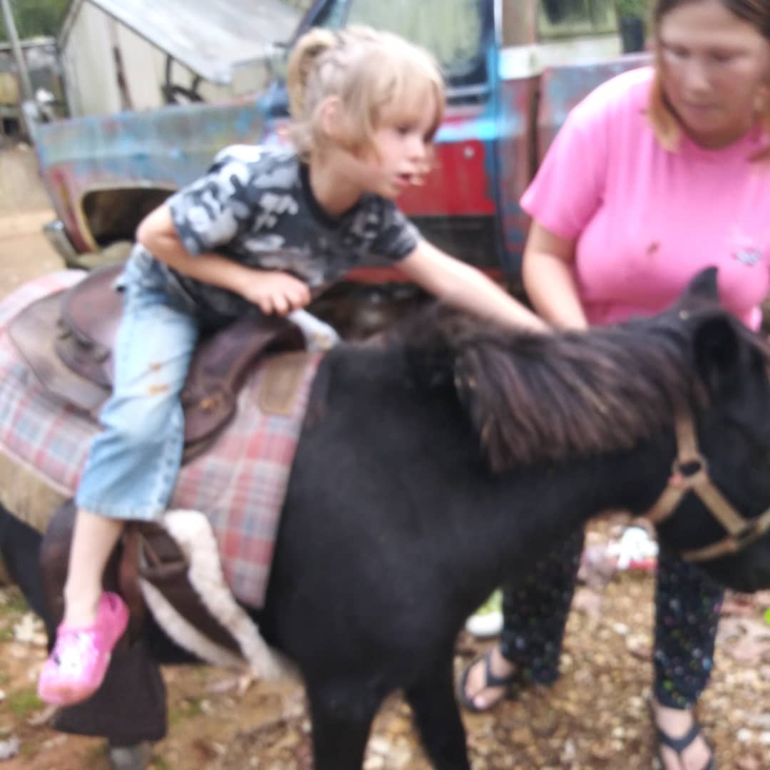 ruby_christy's tweet image. At a farm