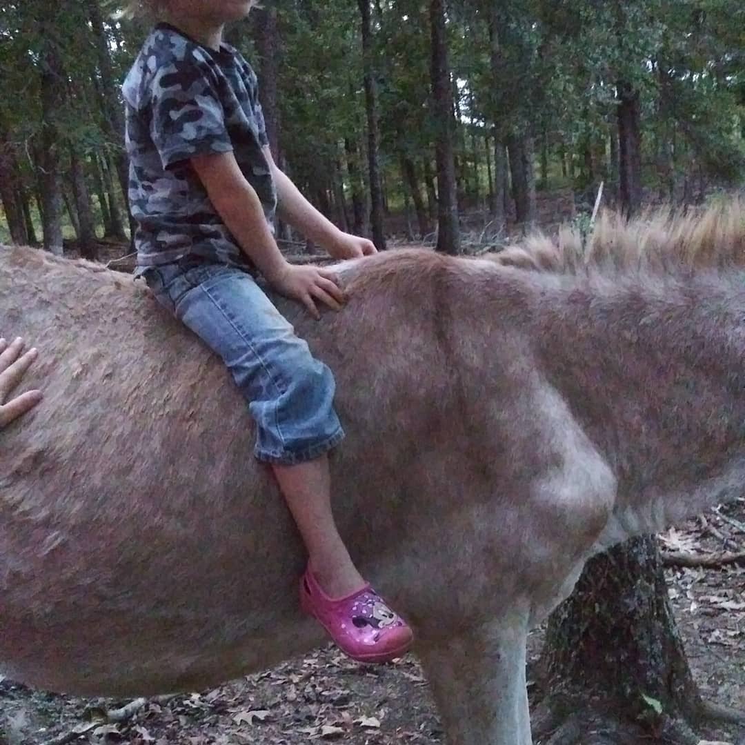 ruby_christy's tweet image. 