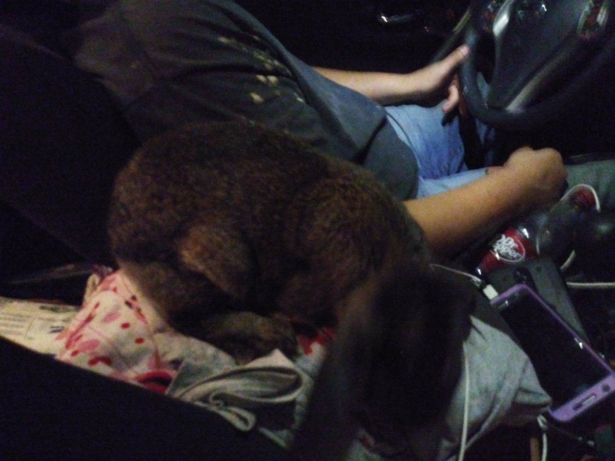 ruby_christy's tweet image. 