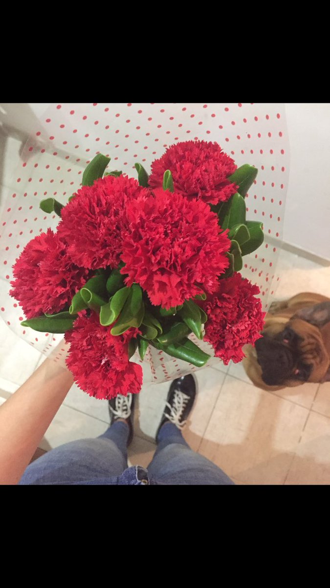 AnaLeylaM's tweet photo. Es todo lo que está bien en el mundo 😍♥️ https://t.co/fVS9FfuhM8
