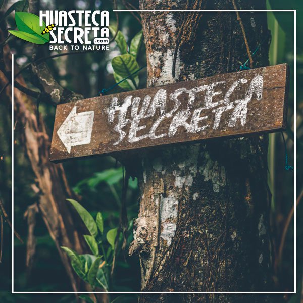 HuastecaSecreta's tweet photo. No he estado en todas partes, pero están en mi lista. -Susan Sontag-    Haz tu recervación aquí:   https://t.co/fxRvvE93QO  #Huasteca #HuastecaSecreta #HuastecaAdventures #Extremo #Aventura https://t.co/PlCvN2eHSE