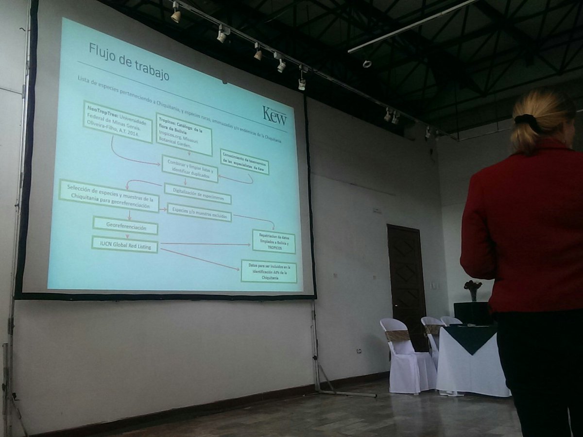 alexmonro's tweet photo. Bente Klitgaard @KewAmericas presenting a summary of Chiquitania #TIPA in #Bolivia at #CLAB2018 @KewScience https://t.co/vfeGB7hSJM