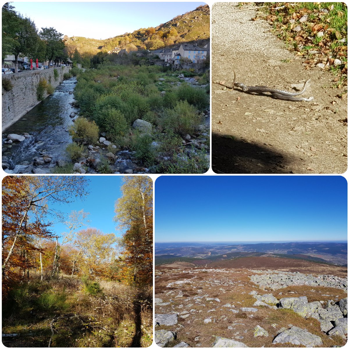 Claval4's tweet photo. Retour à l'essentiel.  #Cévennes https://t.co/dYVODseTxP